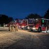 Brand Wald