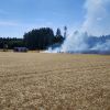 Brand Freifläche